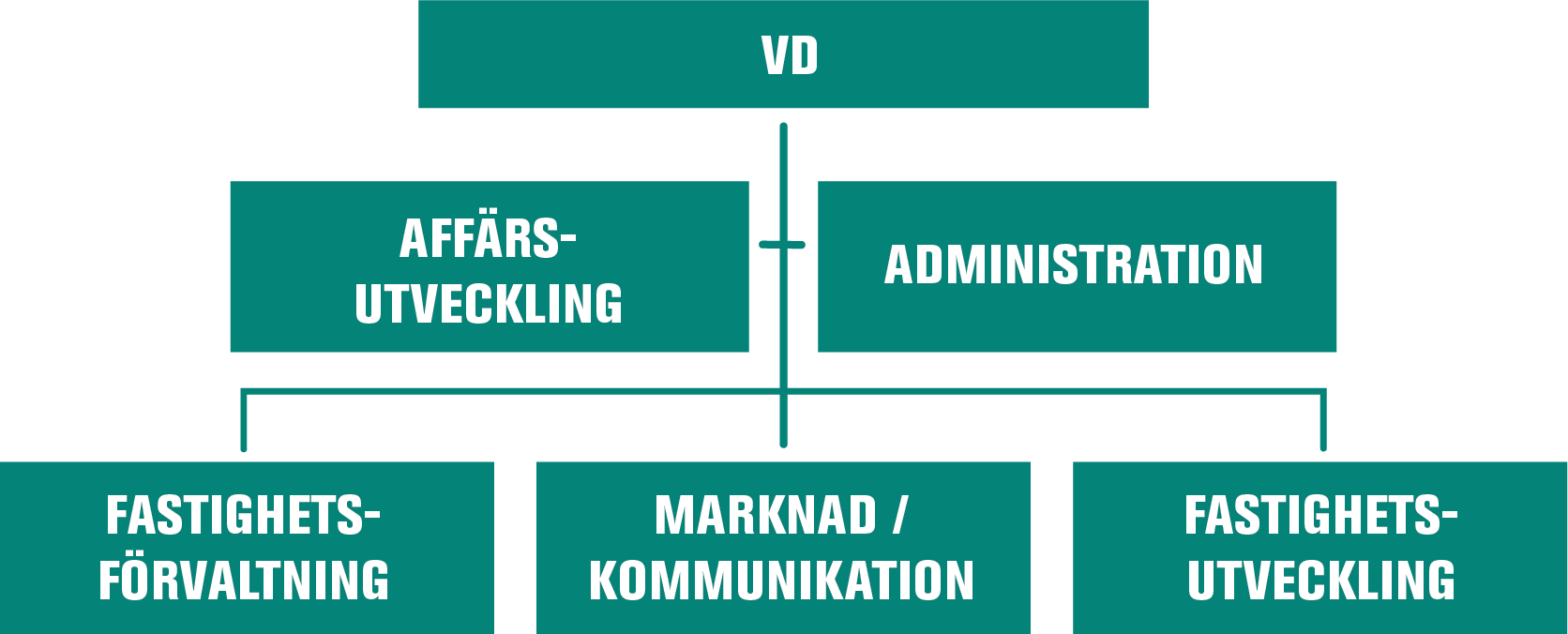 Organisation SVE maj 2019